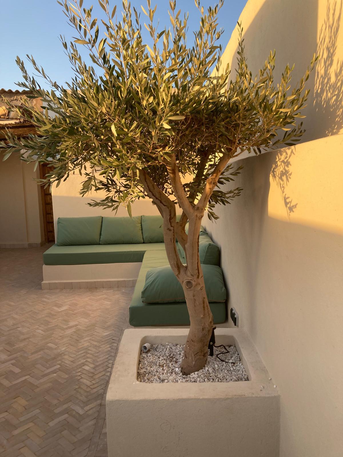 Terrasse 1
